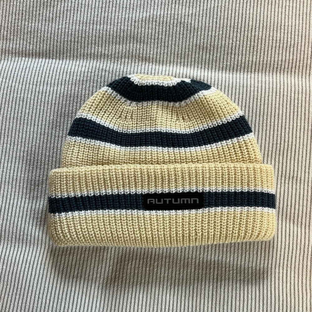 Autumn Stripe Knit Beanie